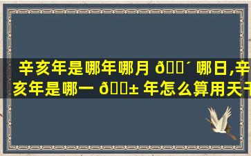 辛亥年是哪年哪月 🐴 哪日,辛亥年是哪一 🐱 年怎么算用天干地支算公历